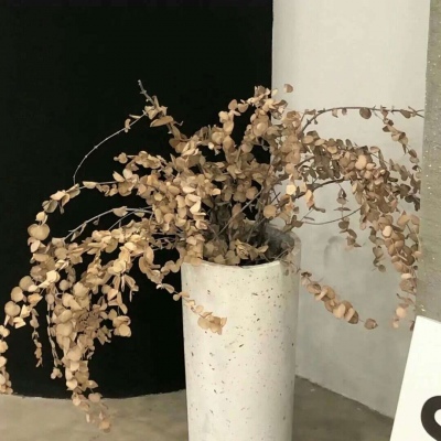 兽设插画构图技巧Furry群